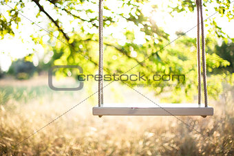 The swing