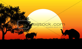 African safari scene at sunset
