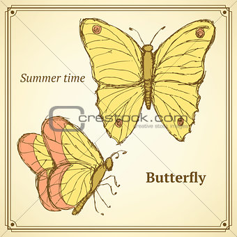 Sketch butterfly set in vintage style