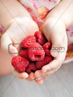 Child's hands holding fresh red raspberries