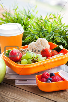 Lunch box for kids with sandwich, cookies, fresh veggies and fruits