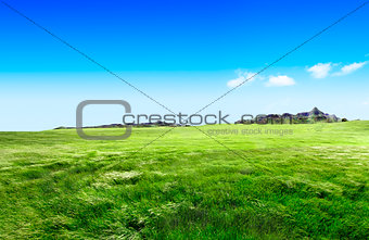 Green grass and hill