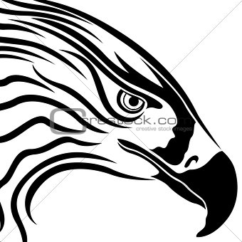 Head of Eagle with Massive Beak