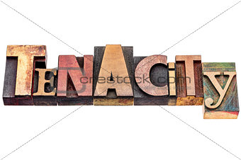 tenacity word abstract typography