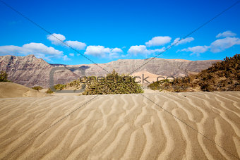 abstract yellow dune beach  hil and mountain in the   lanzarote 