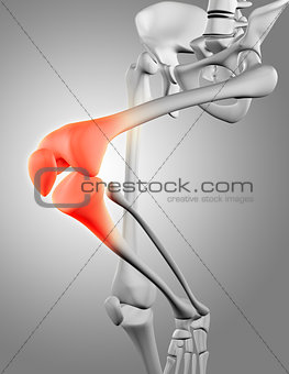 3D render of skeleton close up of knee