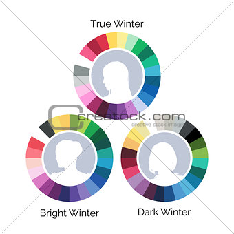 Winter type color palletes