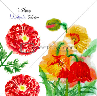Watercolor background with red poppy-04