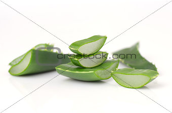 Aloe vera leaves 