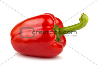 Red sweet bulgarian pepper