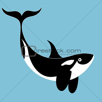 portrait of a killer whale