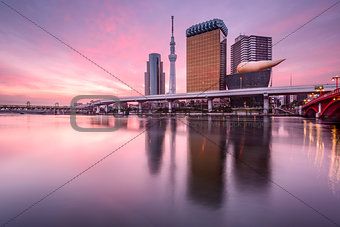 Tokyo, Japan at Dawn