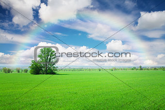 Green grass field, blue sky with clouds and rainbow