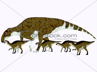 Brachylophosaurus Side Profile