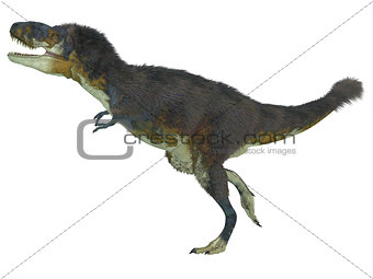 Daspletosaurus Side Profile