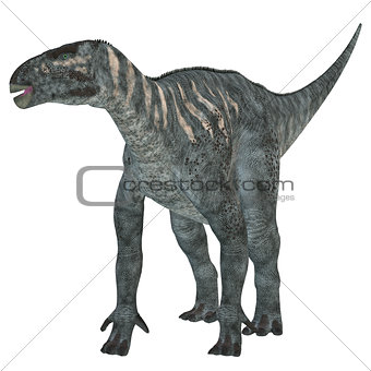 Iguanodon Herbivore Dinosaur