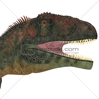 Mapusaurus Dinosaur Head
