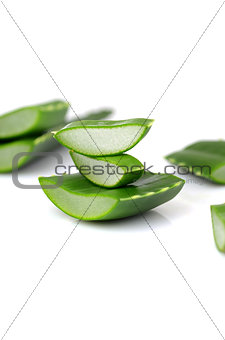 Aloe vera leaves 