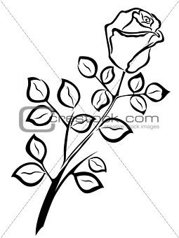 Black outline of single rose flower