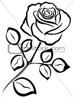 Rose black outline