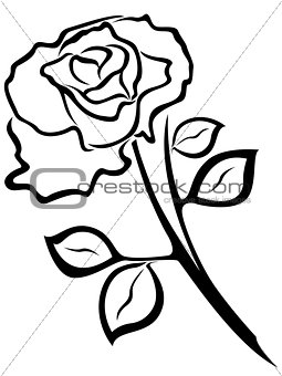 Rose flower black outline