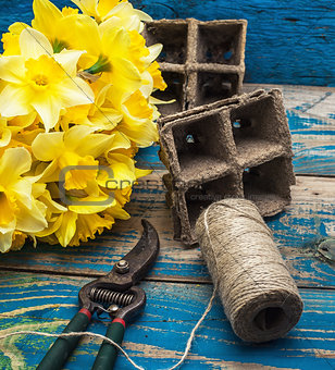 garden tools and cut daffodils