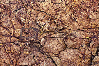 Brown stone background, seamless rock texture