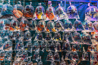 goldfish market Mong Kok Kowloon Hong Kong