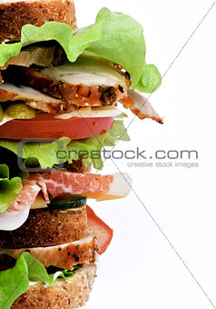 Turkey Meat Sandwich