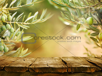 Olive trees with tabletop