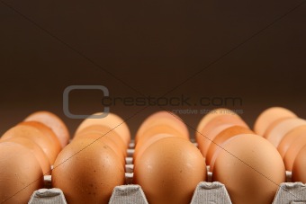 eggs in tray