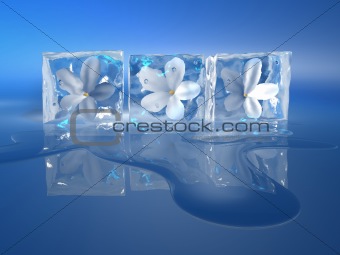 Iced flowers