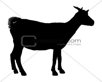 Goat silhouette 