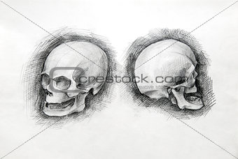 Skull study drawing. Pencil on paper.