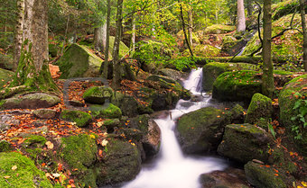 Gertelsbacher Waterfalls in autumn, Black Forest, Germany