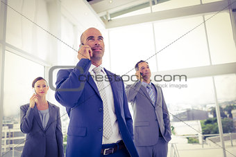 Business team on their phones