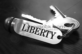 Liberty Concept. Keys with Keyring.