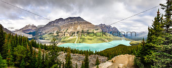 Panoramic view of Peyto lake and Rocky mountains, Alberta
