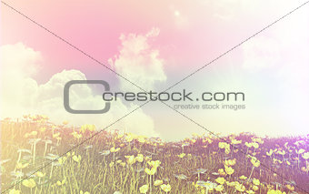 3D landscape of buttercups and daisies with retro effect