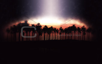 Palm tree island at sunset