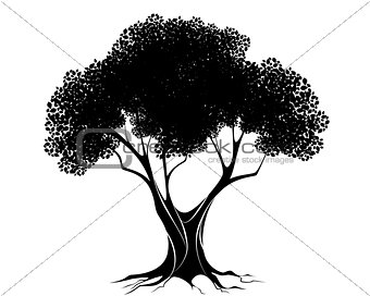 Black tree silhouette