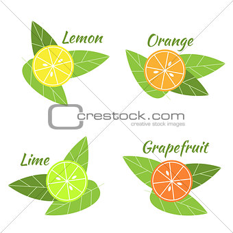 Citrus fruits orange, lime, grapefruit and lemon