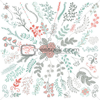 Vector Hand Sketched Rustic Floral Doodle Branches