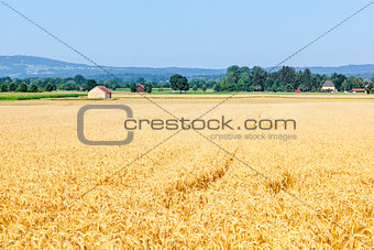 countryside