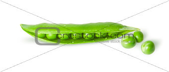 Opened green pea pod and peas top view