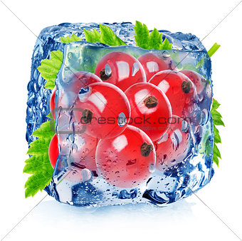 Red currant in ice