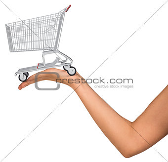 Shopping cart in womans hand