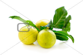 Small yellow plums.