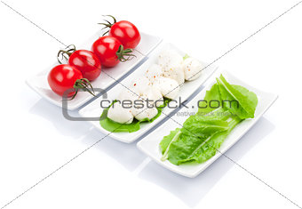 Tomatoes, mozzarella and green salad leaves