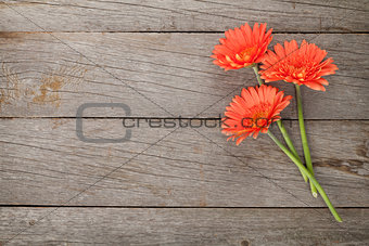 Wooden background with orange gerbera flowers
